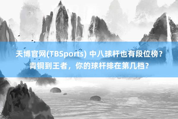 天博官网(TBSports) 中八球杆也有段位榜？青铜到王者，你的球杆排在第几档？