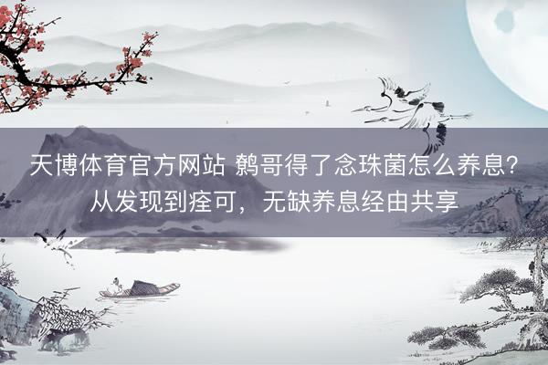 天博体育官方网站 鹩哥得了念珠菌怎么养息？从发现到痊可，无缺养息经由共享