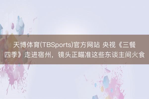 天博体育(TBSports)官方网站 央视《三餐四季》走进宿州，镜头正瞄准这些东谈主间火食