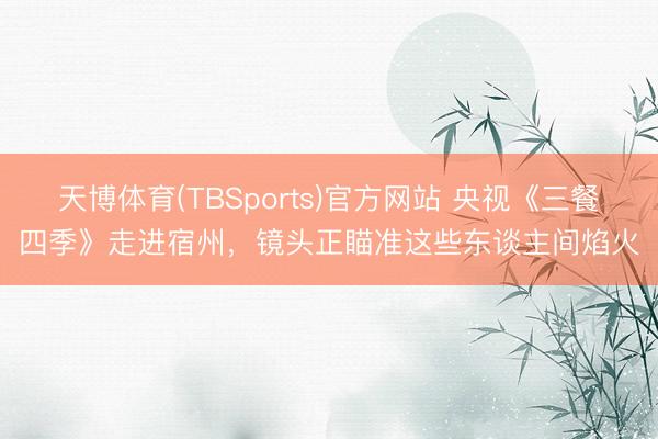 天博体育(TBSports)官方网站 央视《三餐四季》走进宿州，镜头正瞄准这些东谈主间焰火