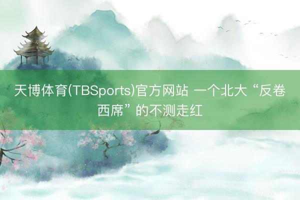 天博体育(TBSports)官方网站 一个北大 “反卷西席” 的不测走红