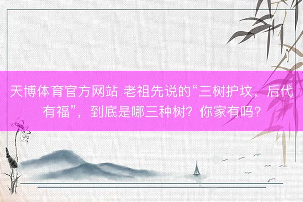 天博体育官方网站 老祖先说的“三树护坟，后代有福”，到底是哪三种树？你家有吗？