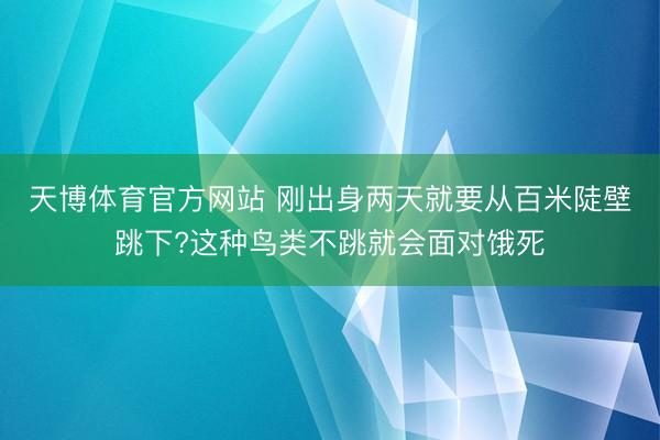 天博体育官方网站 刚出身两天就要从百米陡壁跳下?这种鸟类不跳就会面对饿死