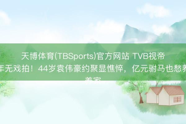 天博体育(TBSports)官方网站 TVB视帝两年无戏拍！44岁袁伟豪约聚显憔悴，亿元驸马也愁养家