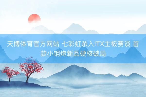 天博体育官方网站 七彩虹杀入ITX主板赛谈 首款小钢炮新品硬核破局