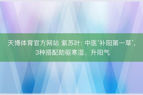 天博体育官方网站 紫苏叶: 中医‘补阳第一草’， 3种搭配助驱寒湿、升阳气