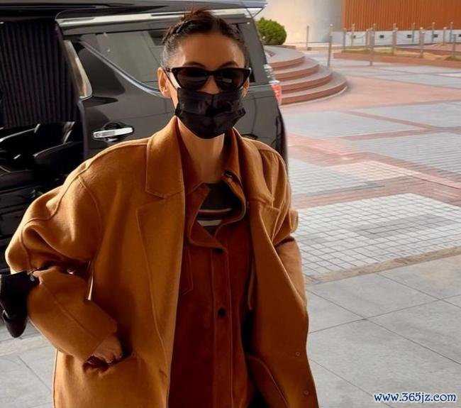 张柏芝与前牙东谈主纠纷案胜诉 合约风云终驱逐