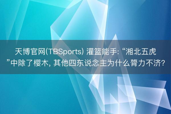 天博官网(TBSports) 灌篮能手: “湘北五虎”中除了樱木， 其他四东说念主为什么膂力不济?
